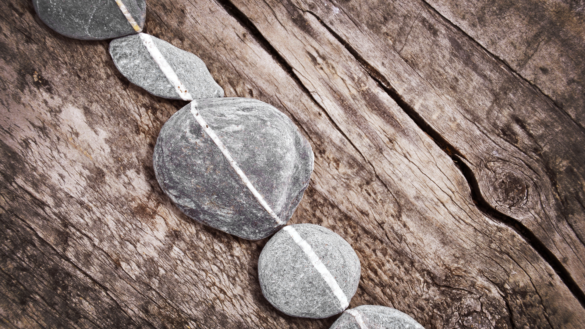 Is Your Dream Aligned With You - ElinIfe.com